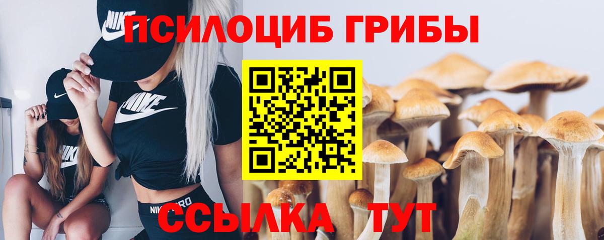 Псилоцибиновые грибы мицелий  Вход с VPN  Зерноград 