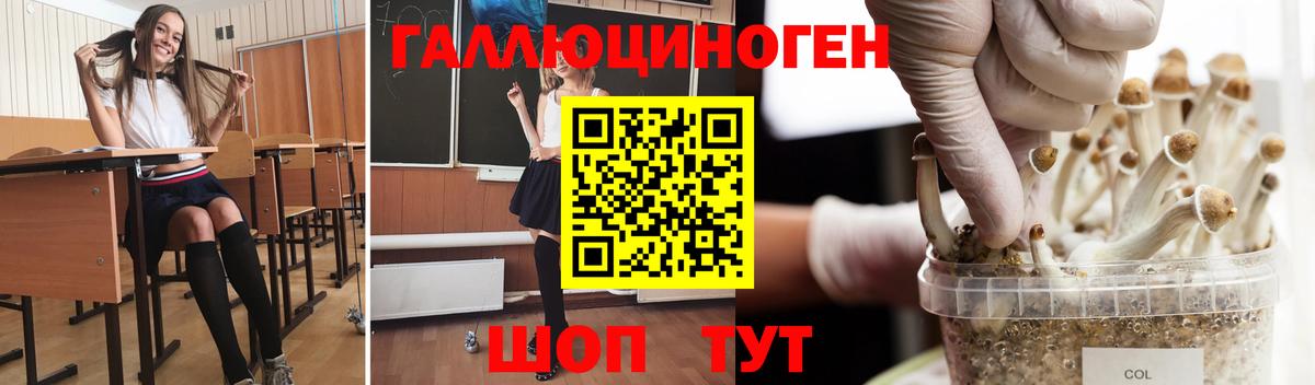 Галлюциногенные грибы GOLDEN TEACHER Зерноград
